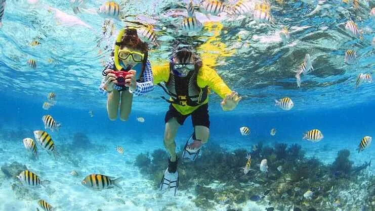 Snorkeling or Diving in Coral Gardens