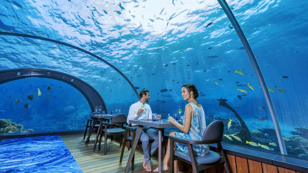 Underwater Dining Experience