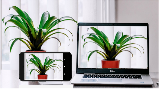 Iriun Webcam Review: What It Is and Is It Safe?